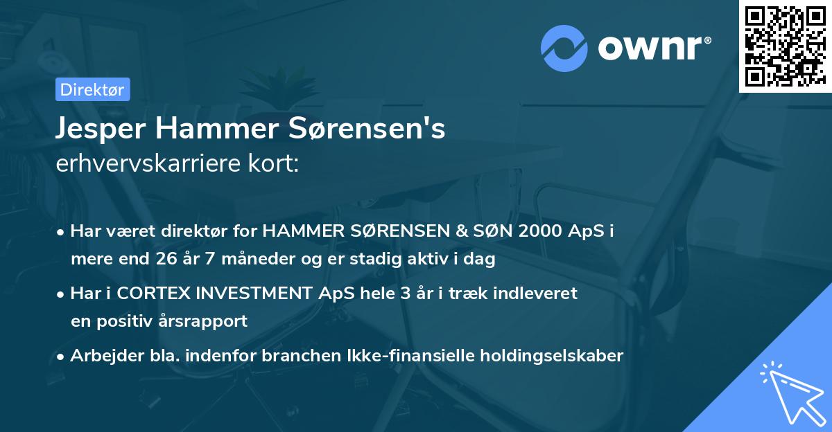 Jesper Hammer Sørensen's erhvervskarriere kort