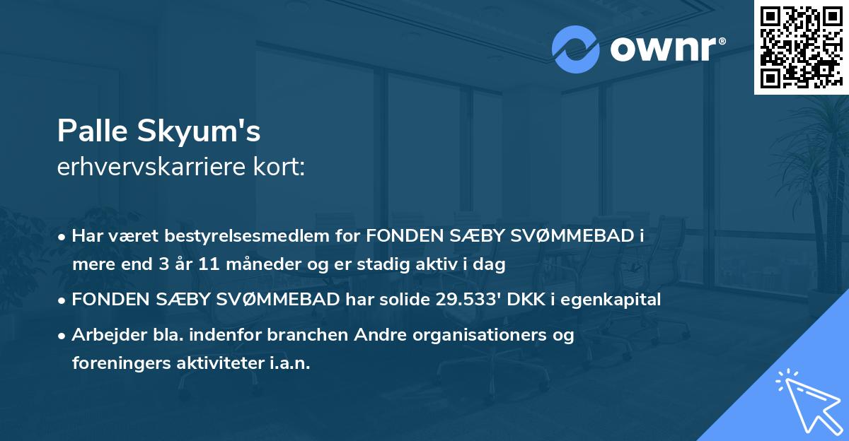 Palle Skyum's erhvervskarriere kort