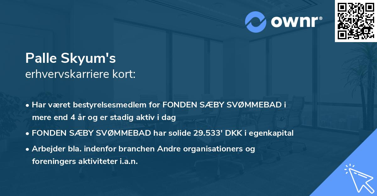 Palle Skyum's erhvervskarriere kort