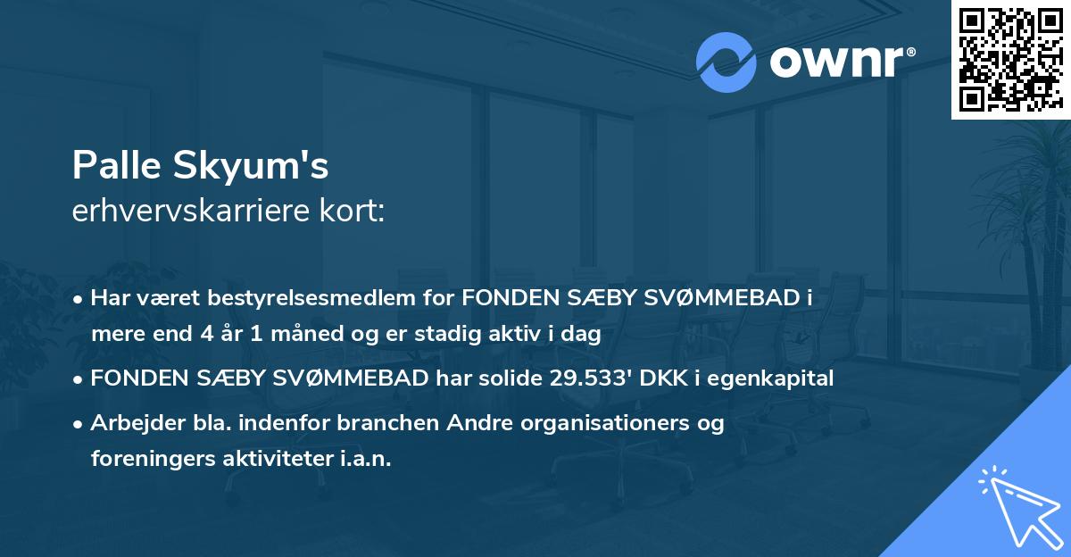 Palle Skyum's erhvervskarriere kort