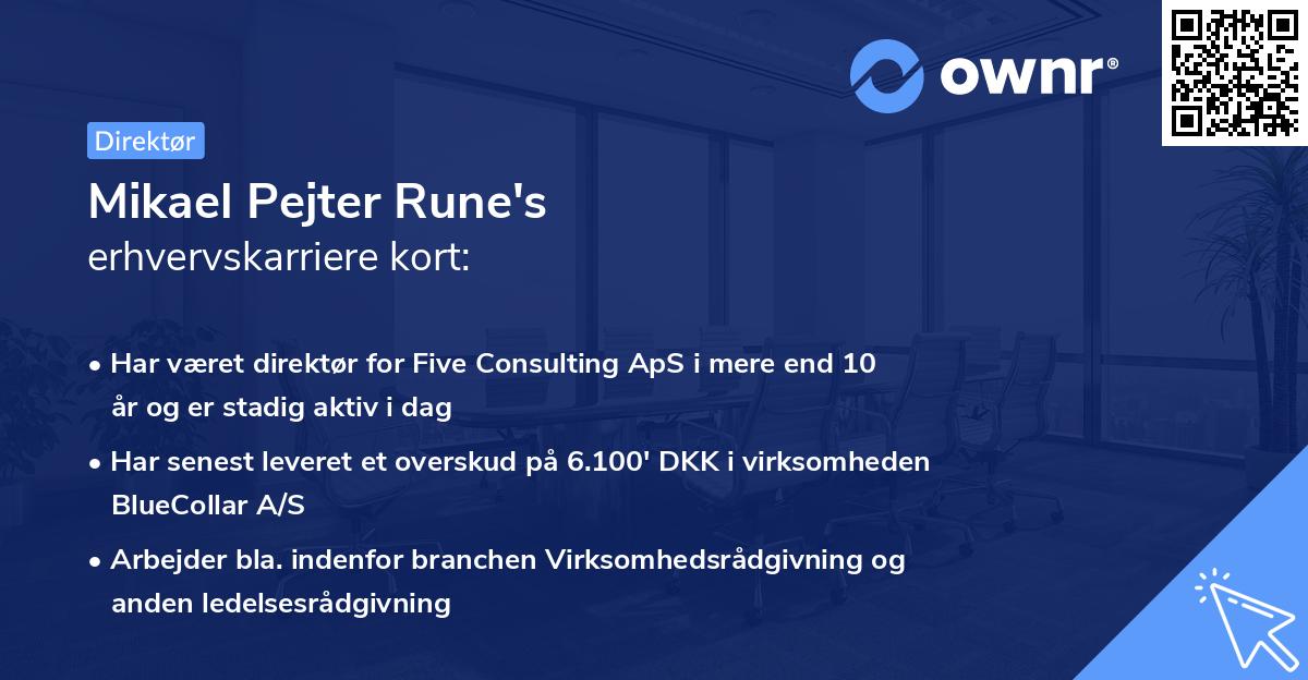 Mikael Pejter Rune's erhvervskarriere kort