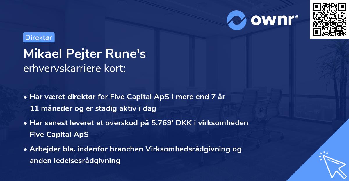 Mikael Pejter Rune's erhvervskarriere kort