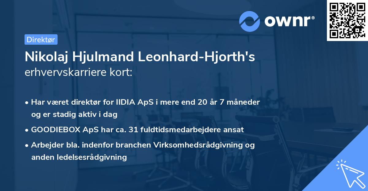 Nikolaj Hjulmand Leonhard-Hjorth's erhvervskarriere kort
