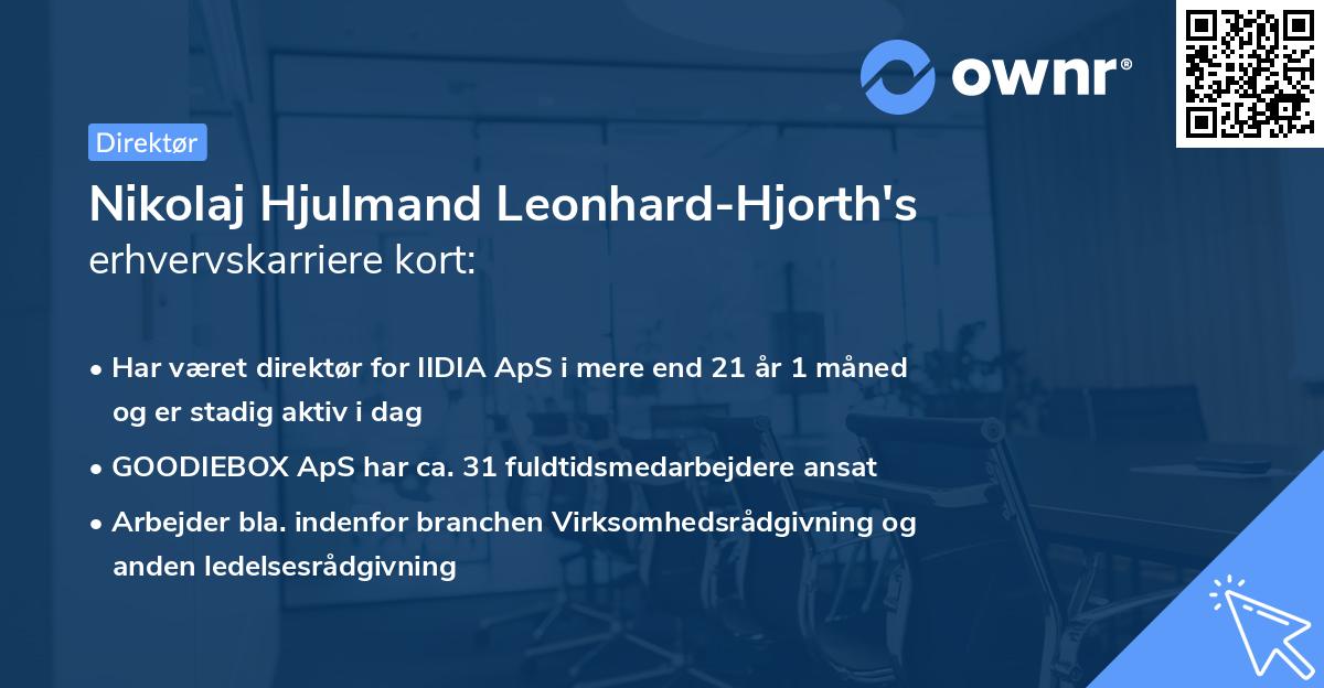 Nikolaj Hjulmand Leonhard-Hjorth's erhvervskarriere kort