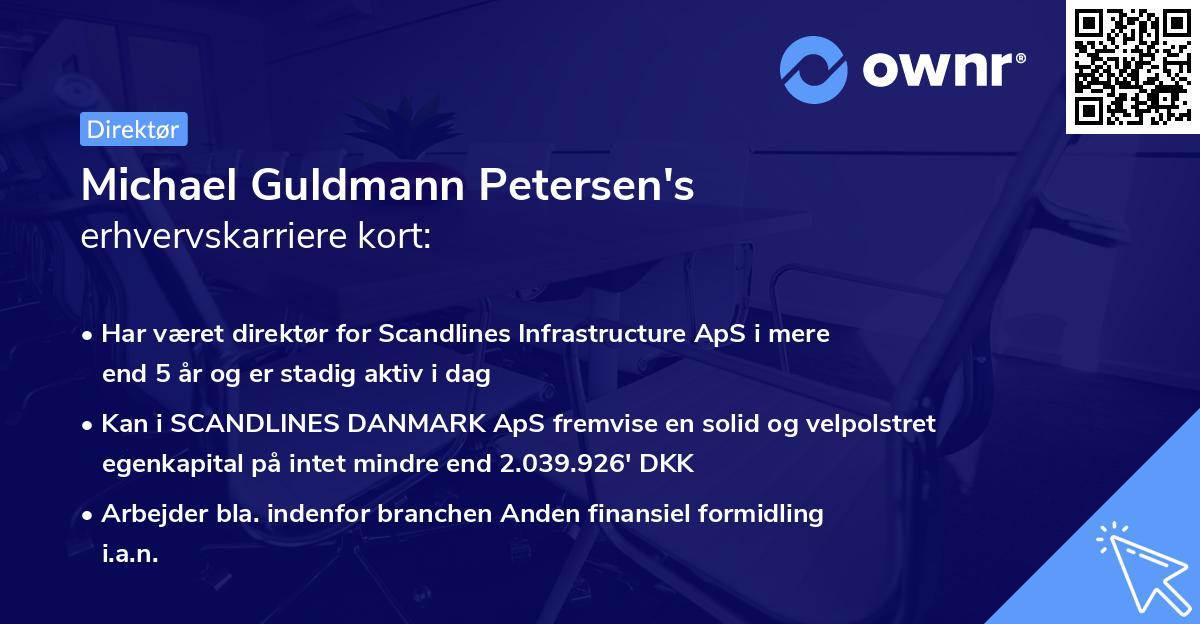Michael Guldmann Petersen's erhvervskarriere kort
