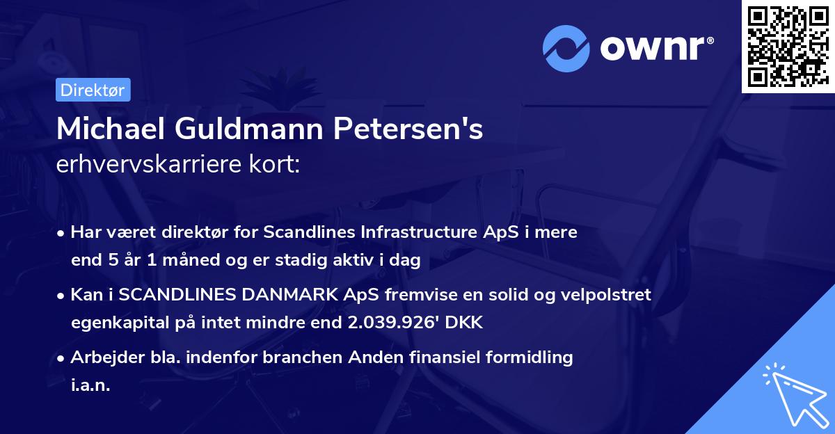 Michael Guldmann Petersen's erhvervskarriere kort