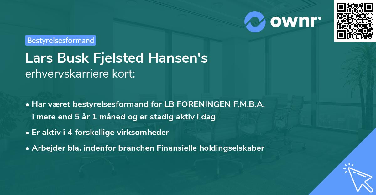Lars Busk Fjelsted Hansen's erhvervskarriere kort