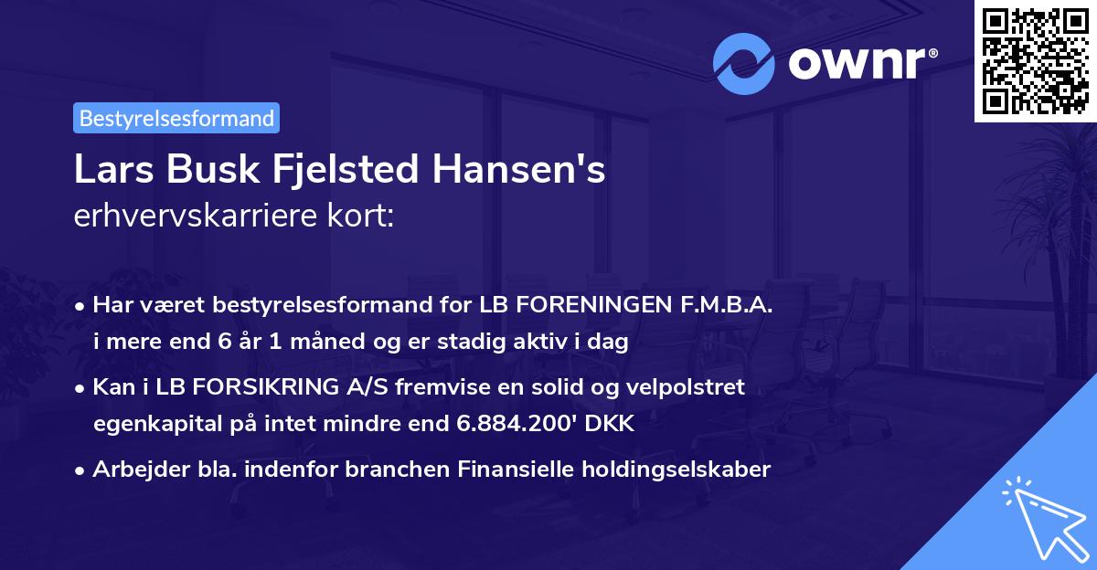 Lars Busk Fjelsted Hansen's erhvervskarriere kort