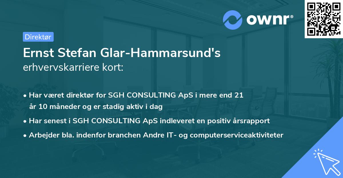 Ernst Stefan Glar-Hammarsund's erhvervskarriere kort