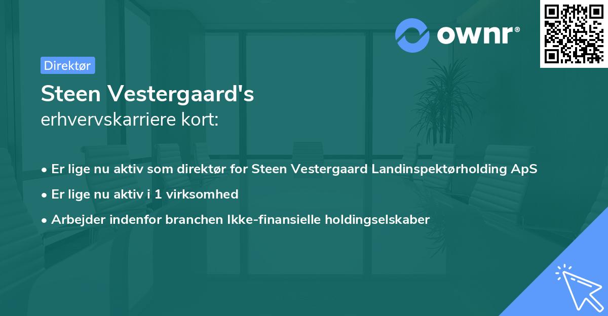 Steen Vestergaard's erhvervskarriere kort