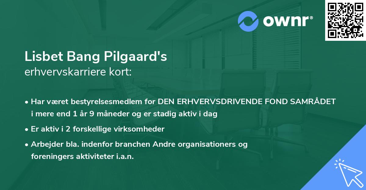 Lisbet Bang Pilgaard's erhvervskarriere kort