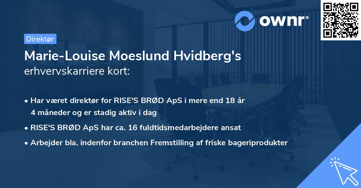 Marie-Louise Moeslund Hvidberg's erhvervskarriere kort
