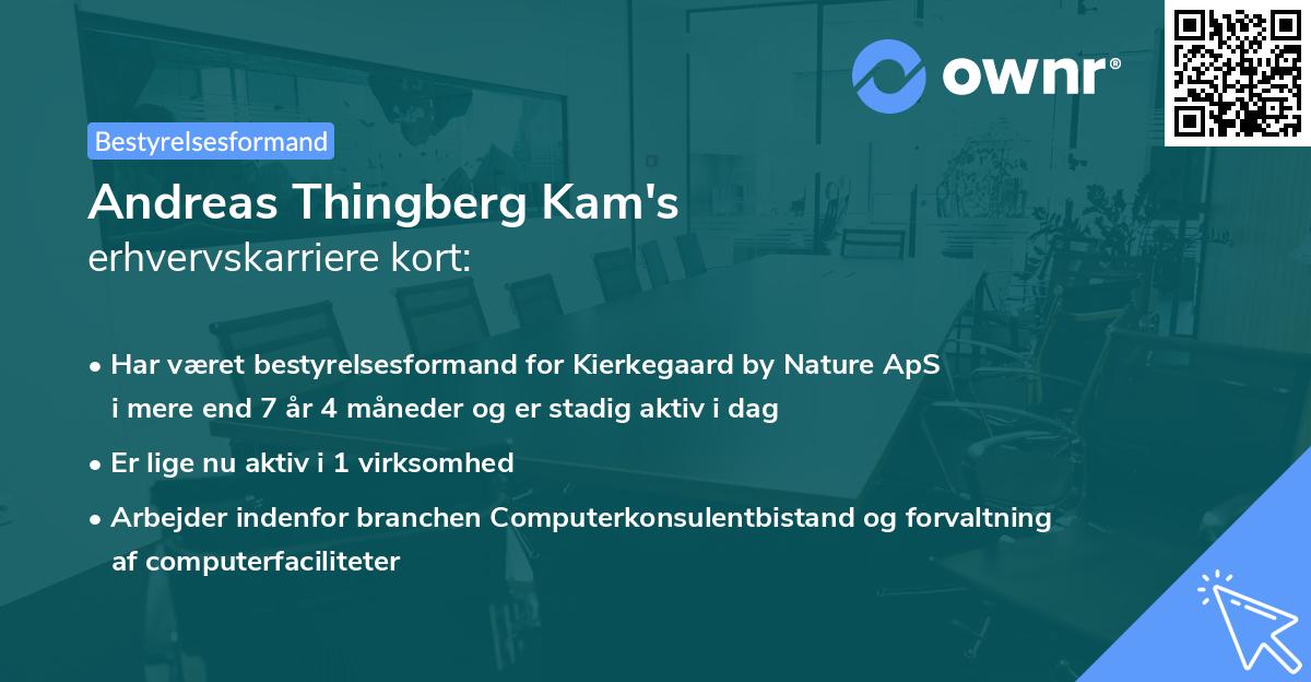 Andreas Thingberg Kam's erhvervskarriere kort