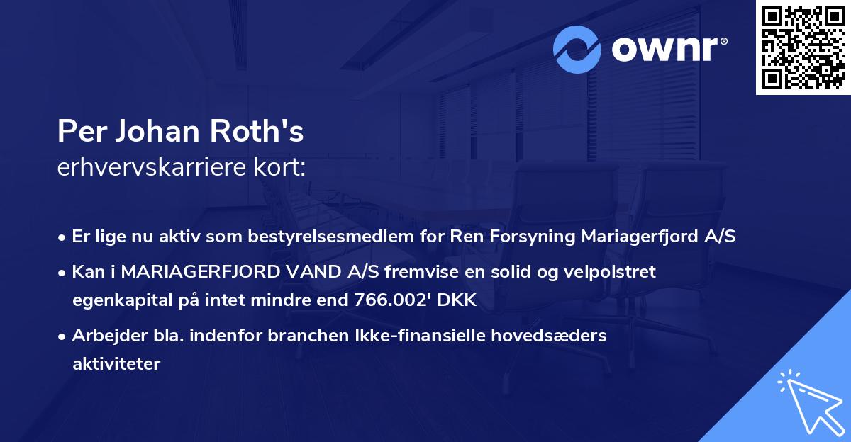 Per Johan Roth's erhvervskarriere kort
