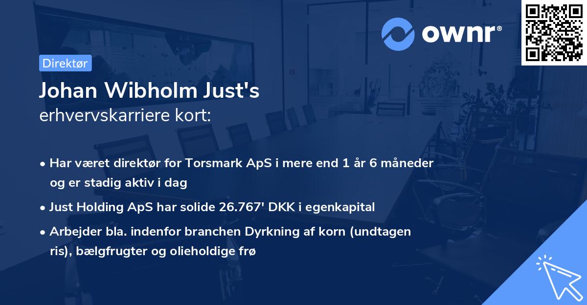 Johan Wibholm Just's erhvervskarriere kort