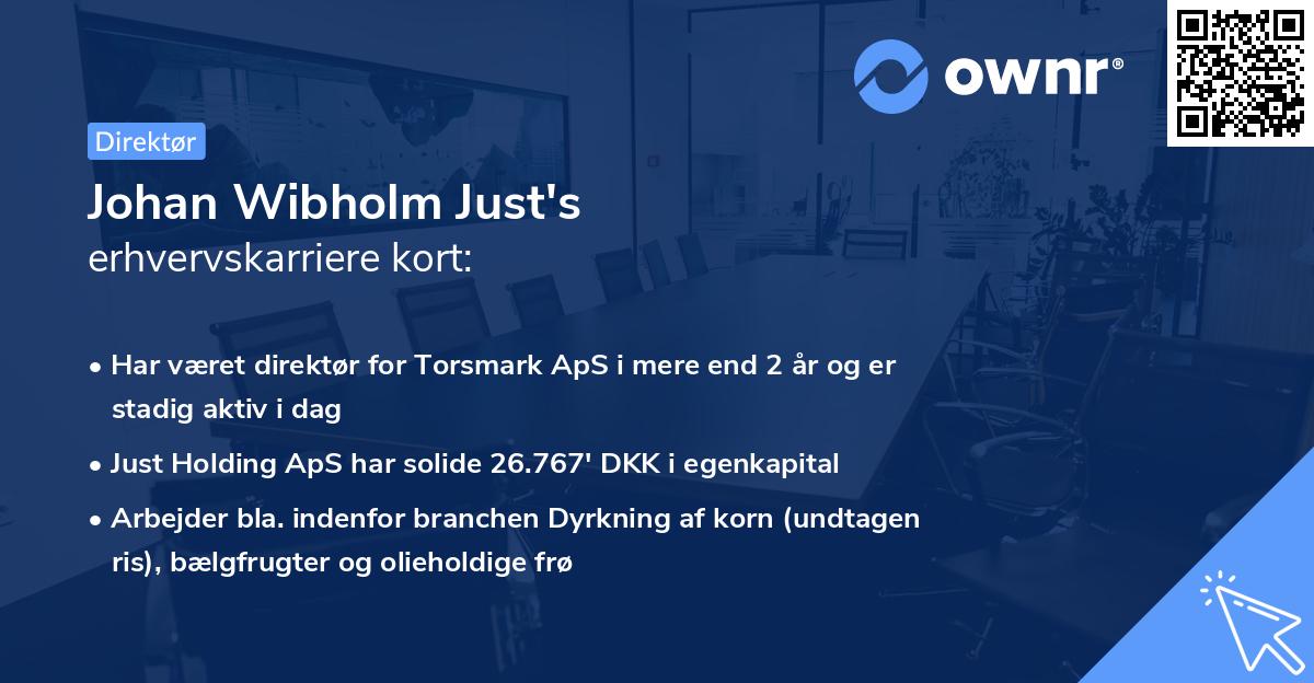 Johan Wibholm Just's erhvervskarriere kort