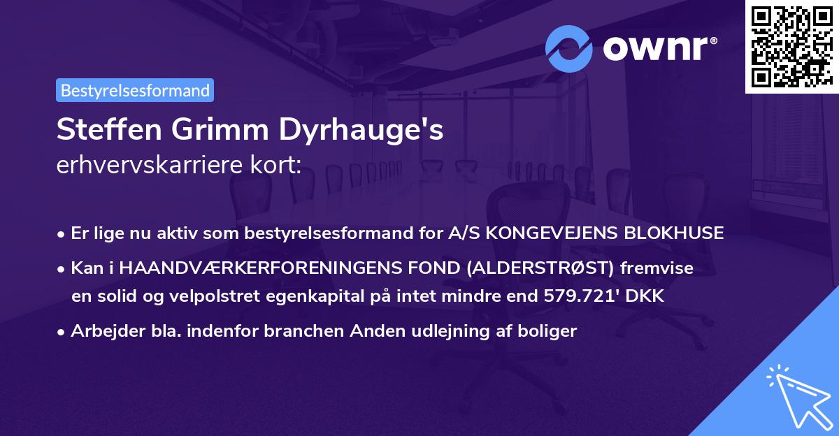 Steffen Grimm Dyrhauge's erhvervskarriere kort