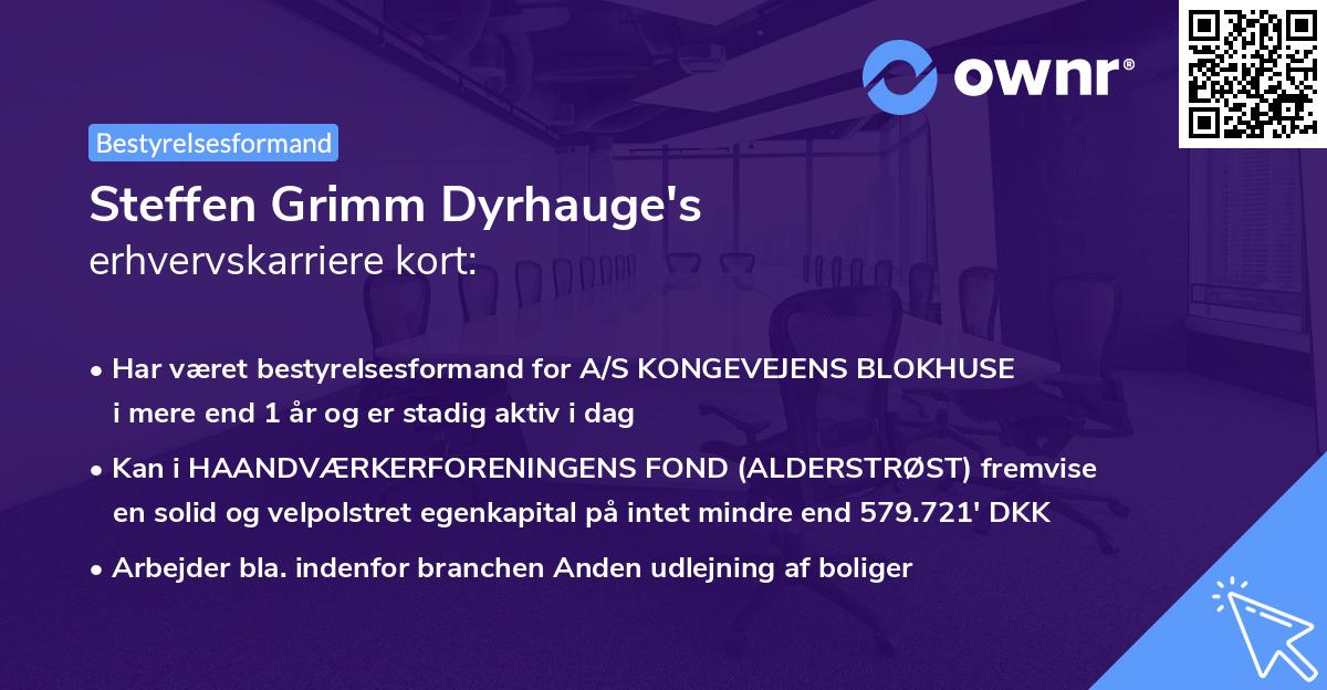 Steffen Grimm Dyrhauge's erhvervskarriere kort