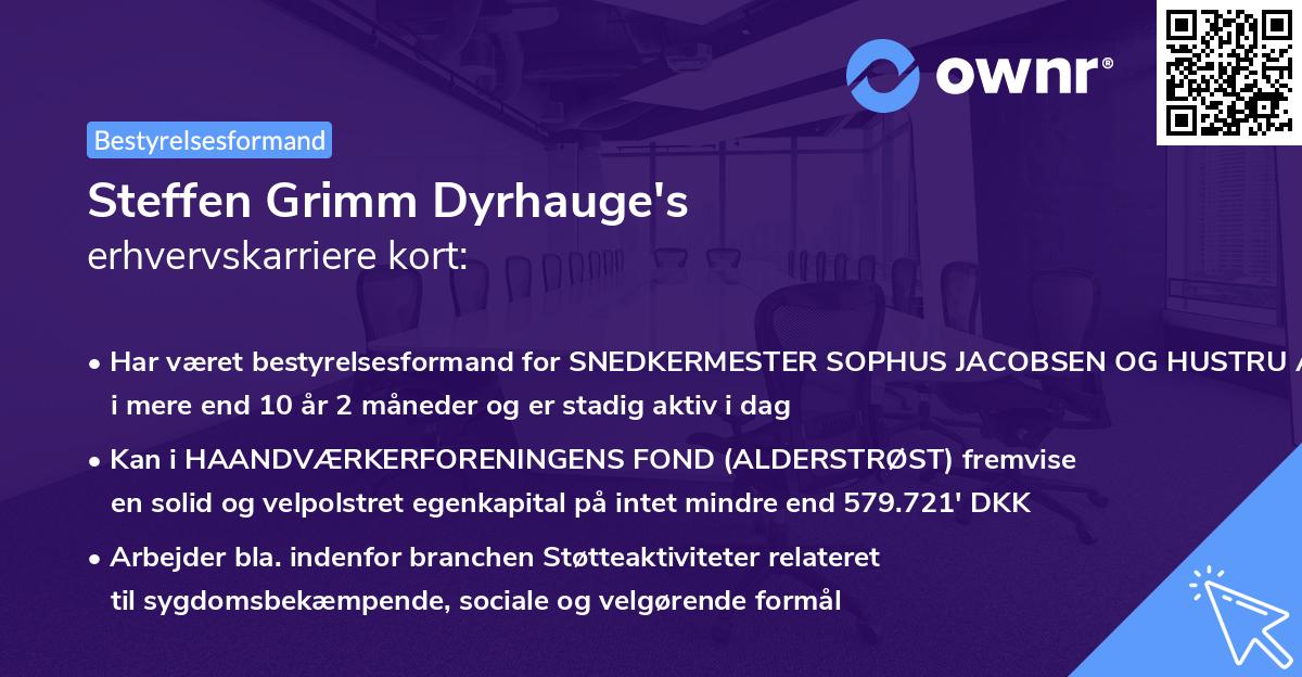 Steffen Grimm Dyrhauge's erhvervskarriere kort