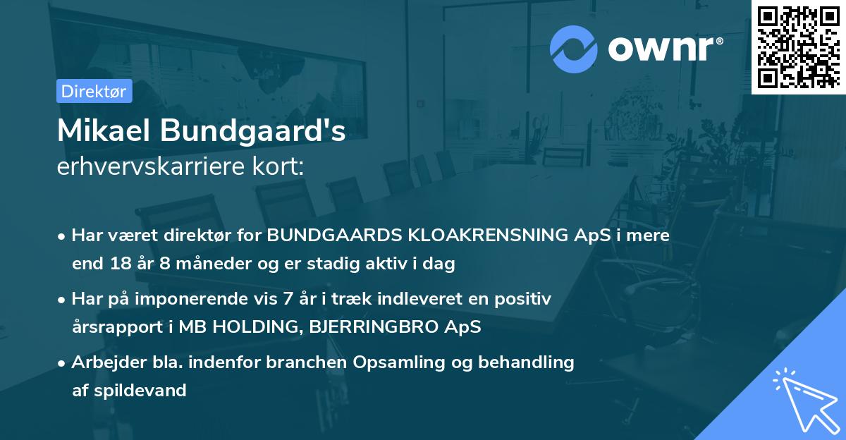 Mikael Bundgaard's erhvervskarriere kort