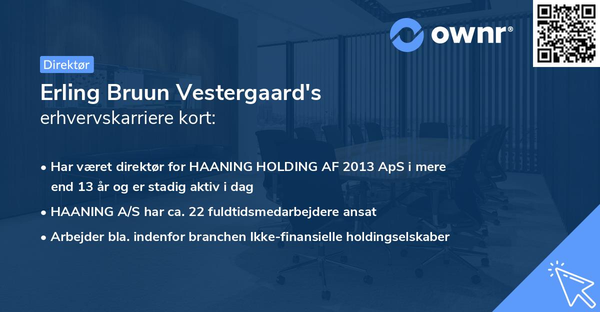 Erling Bruun Vestergaard's erhvervskarriere kort