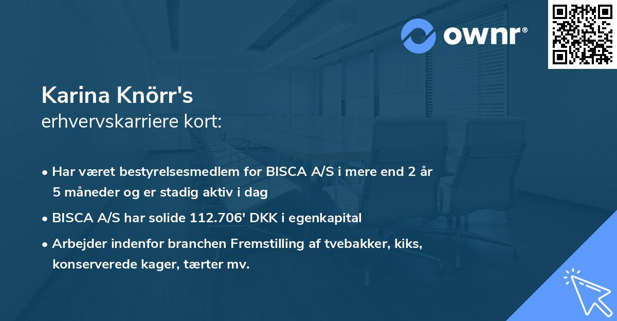 Karina Knörr's erhvervskarriere kort