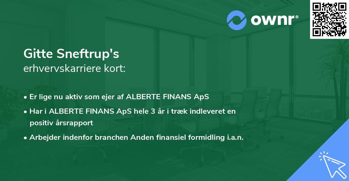 Gitte Sneftrup's erhvervskarriere kort