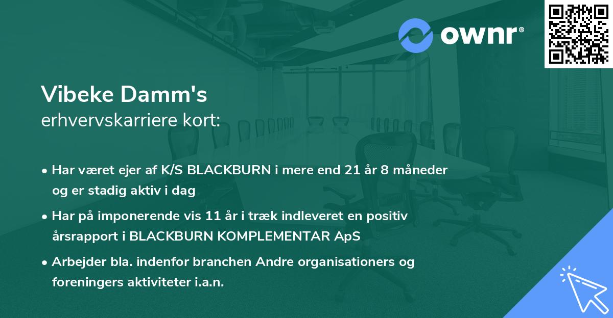 Vibeke Damm's erhvervskarriere kort