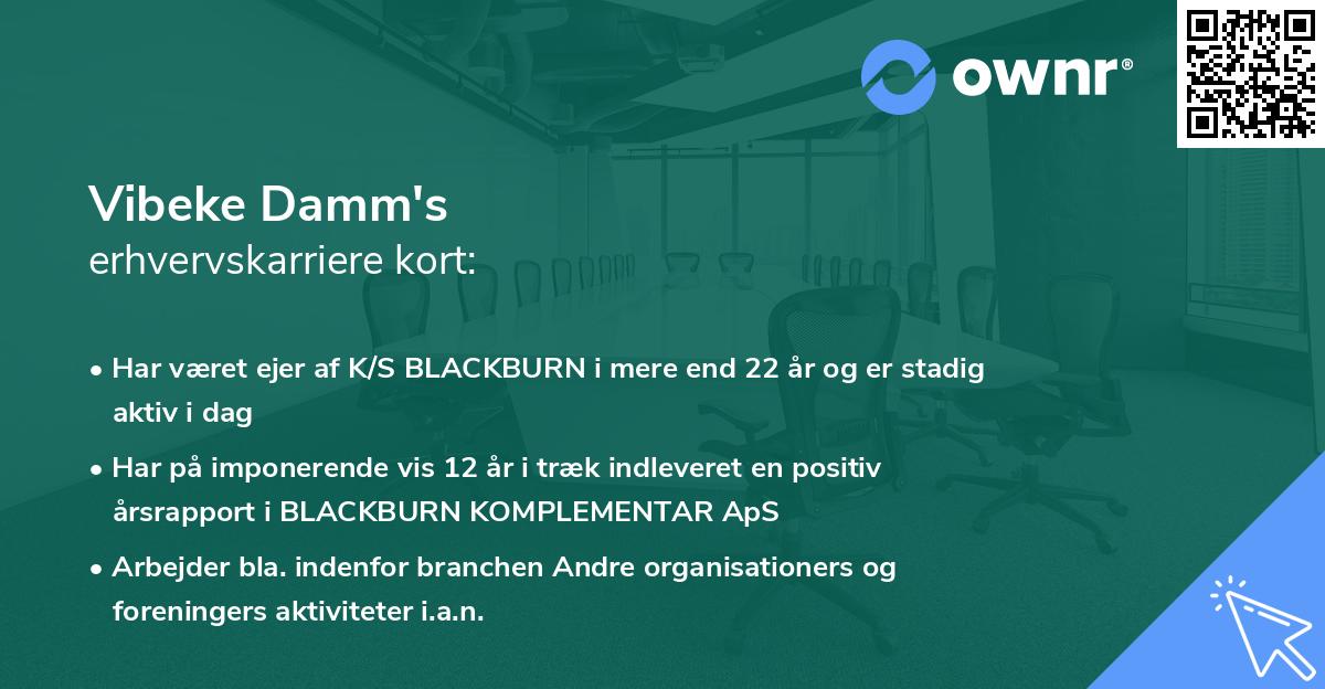 Vibeke Damm's erhvervskarriere kort