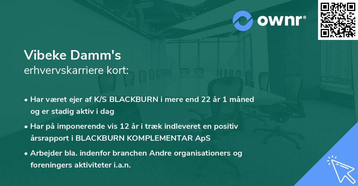 Vibeke Damm's erhvervskarriere kort