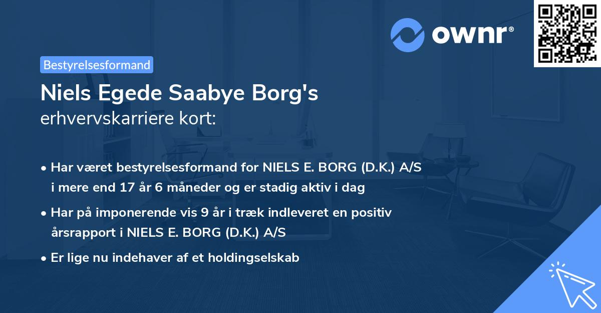 Niels Egede Saabye Borg's erhvervskarriere kort