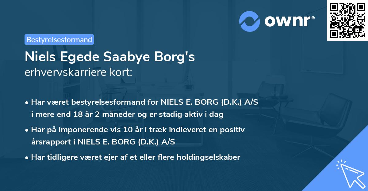 Niels Egede Saabye Borg's erhvervskarriere kort