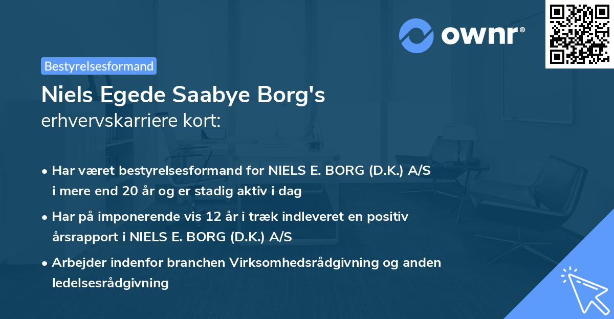Niels Egede Saabye Borg's erhvervskarriere kort
