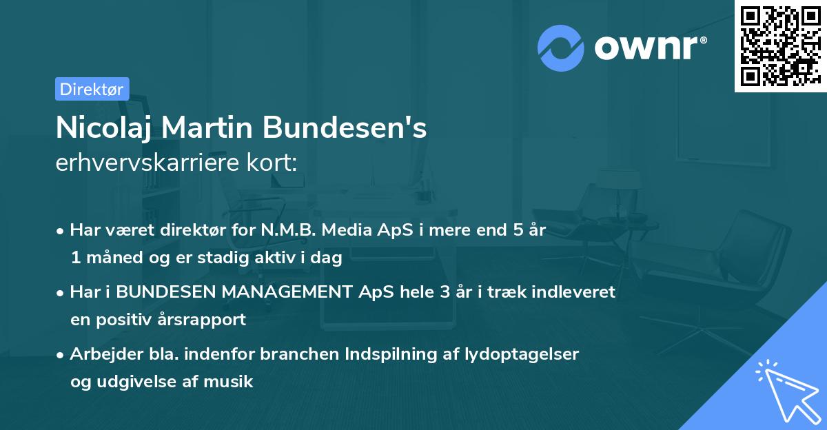 Nicolaj Martin Bundesen's erhvervskarriere kort