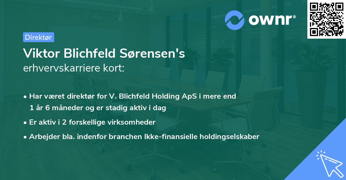 Viktor Blichfeld Sørensen's erhvervskarriere kort