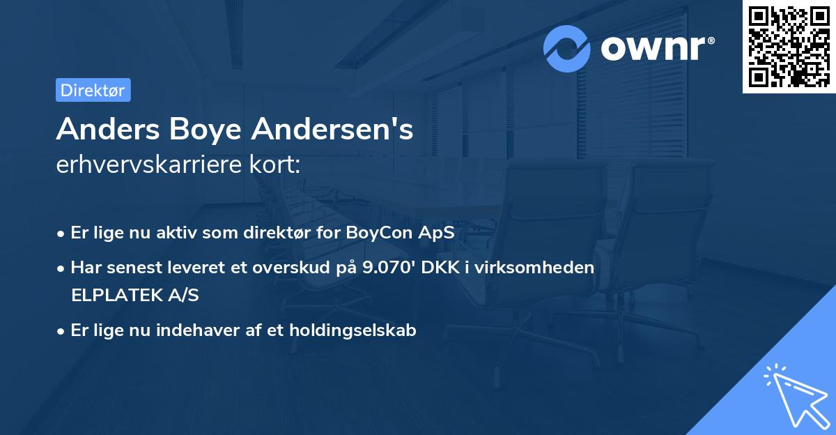 Anders Boye Andersen's erhvervskarriere kort