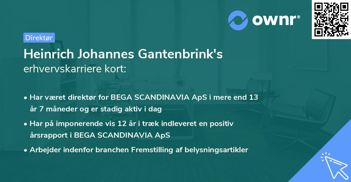 Heinrich Johannes Gantenbrink's erhvervskarriere kort