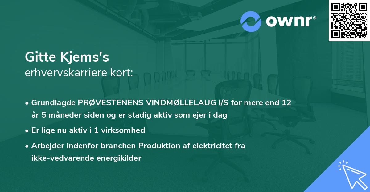 Gitte Kjems's erhvervskarriere kort