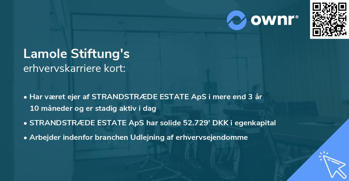 Lamole Stiftung's erhvervskarriere kort