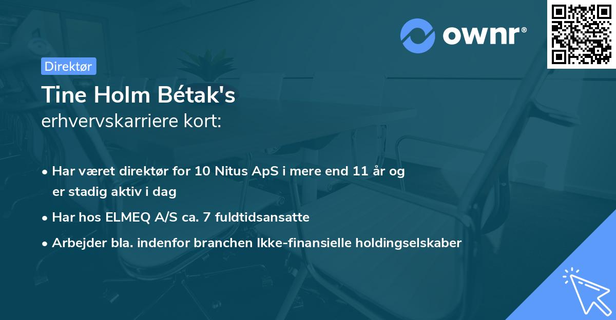 Tine Holm Bétak's erhvervskarriere kort