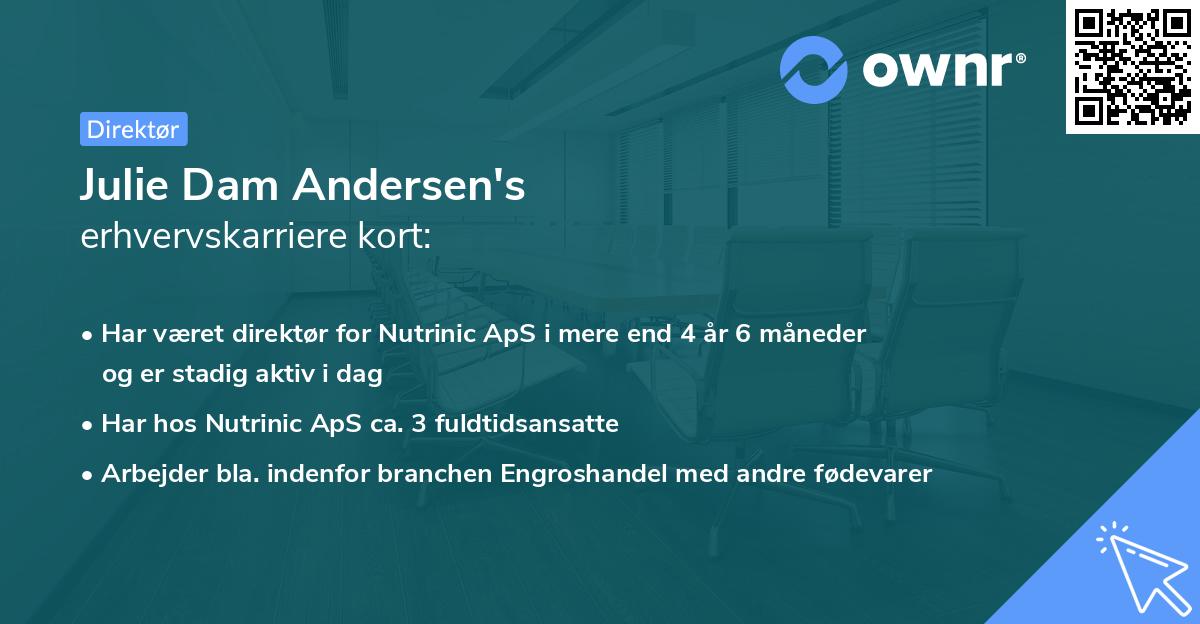 Julie Dam Andersen's erhvervskarriere kort