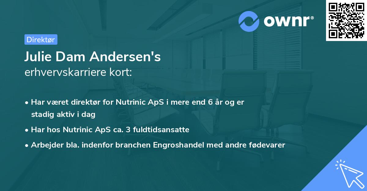 Julie Dam Andersen's erhvervskarriere kort