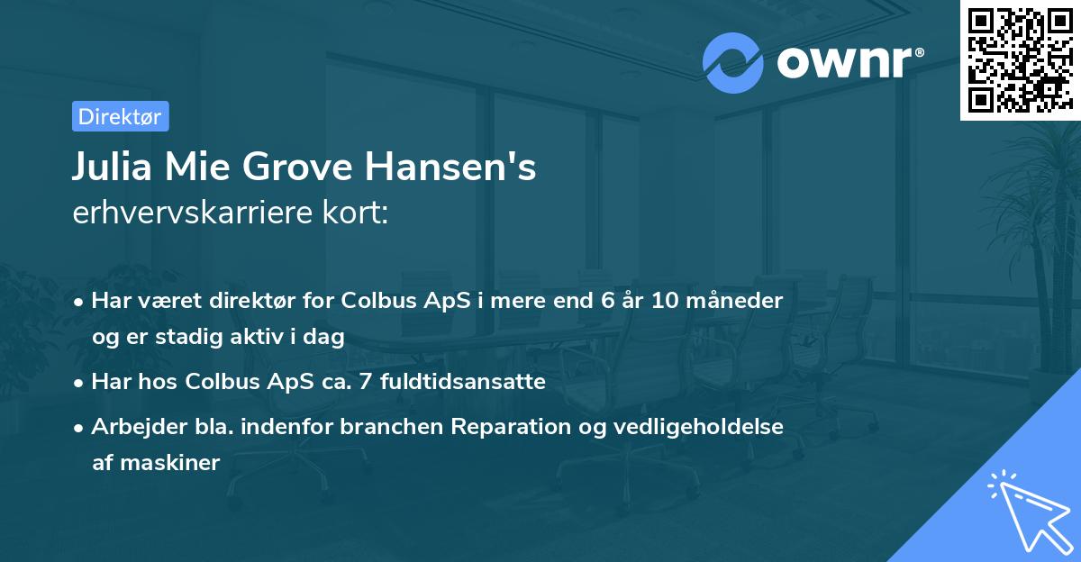 Julia Mie Grove Hansen's erhvervskarriere kort