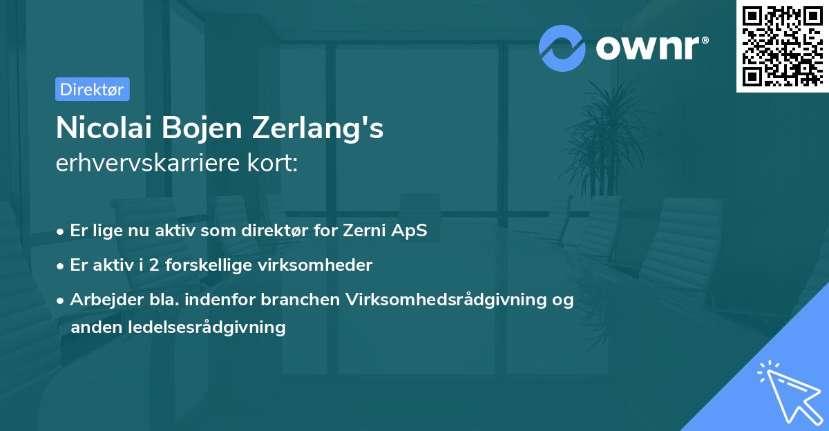 Nicolai Bojen Zerlang's erhvervskarriere kort