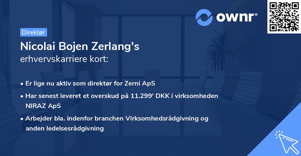 Nicolai Bojen Zerlang's erhvervskarriere kort