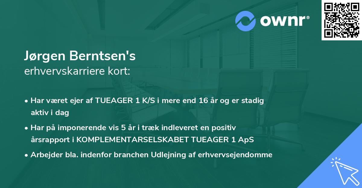Jørgen Berntsen's erhvervskarriere kort