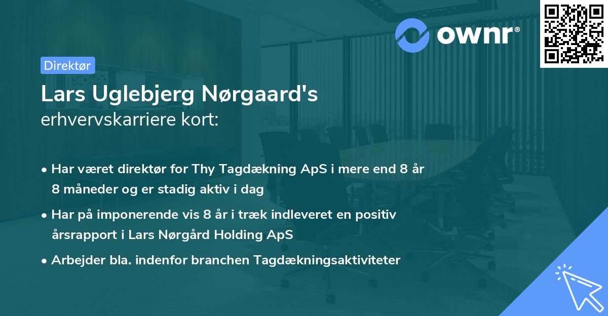 Lars Uglebjerg Nørgaard's erhvervskarriere kort