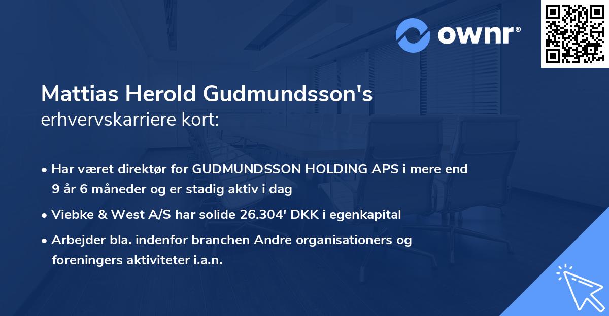 Mattias Herold Gudmundsson's erhvervskarriere kort