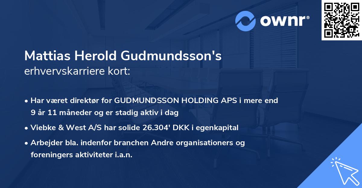 Mattias Herold Gudmundsson's erhvervskarriere kort