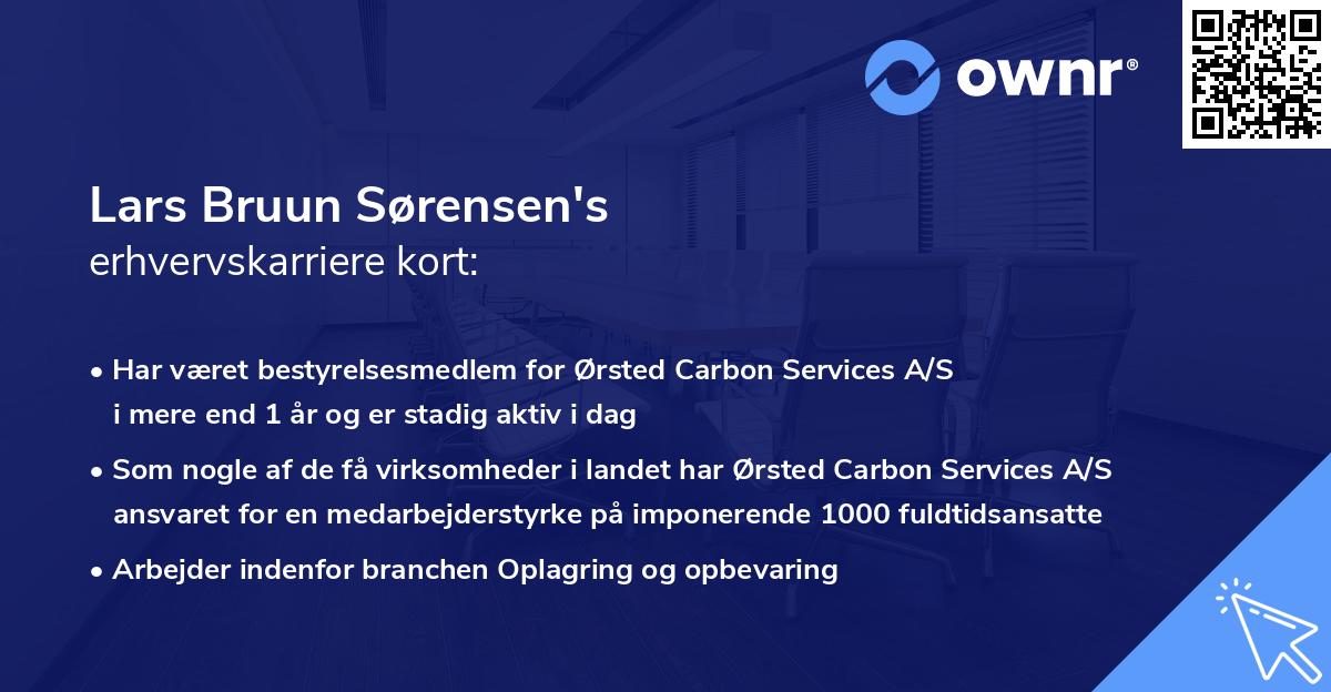 Lars Bruun Sørensen's erhvervskarriere kort